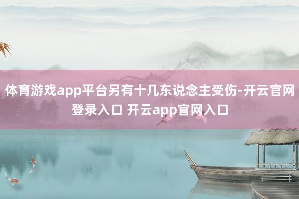 体育游戏app平台另有十几东说念主受伤-开云官网登录入口 开云app官网入口