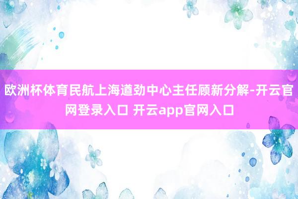 欧洲杯体育民航上海遒劲中心主任顾新分解-开云官网登录入口 开云app官网入口