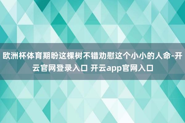 欧洲杯体育期盼这棵树不错劝慰这个小小的人命-开云官网登录入口 开云app官网入口