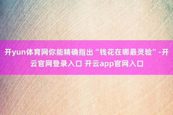 开yun体育网你能精确指出“钱花在哪最灵验”-开云官网登录入口 开云app官网入口