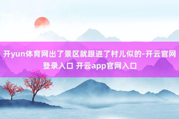 开yun体育网出了景区就跟进了村儿似的-开云官网登录入口 开云app官网入口