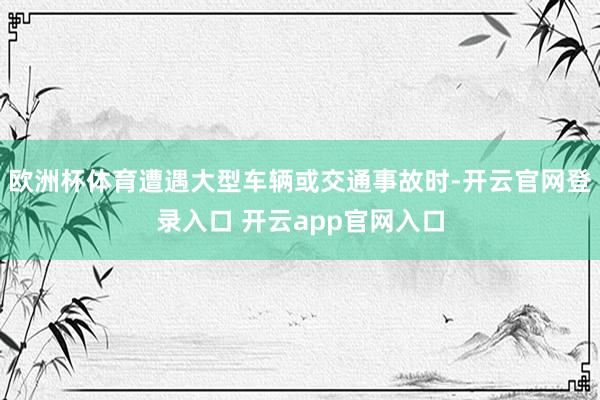 欧洲杯体育遭遇大型车辆或交通事故时-开云官网登录入口 开云app官网入口