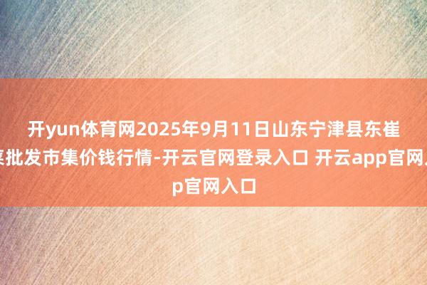 开yun体育网2025年9月11日山东宁津县东崔蔬菜批发市集价钱行情-开云官网登录入口 开云app官网入口