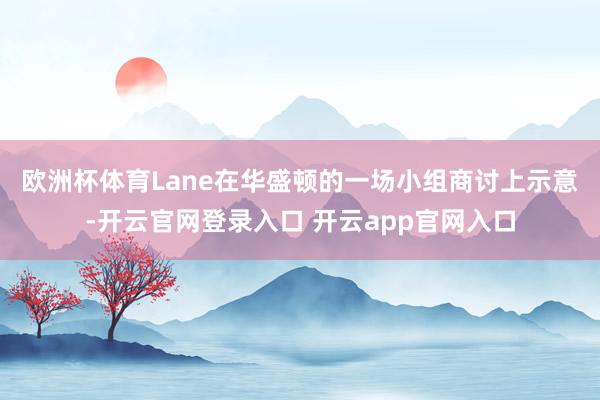 欧洲杯体育　　Lane在华盛顿的一场小组商讨上示意-开云官网登录入口 开云app官网入口