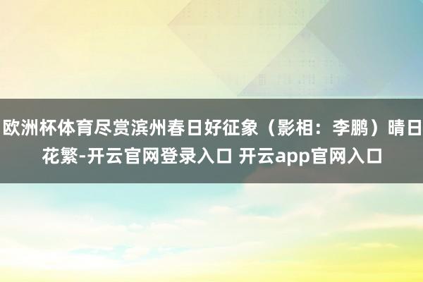 欧洲杯体育尽赏滨州春日好征象(影相:李鹏)晴日花繁-开云官网登录入口 开云app官网入口