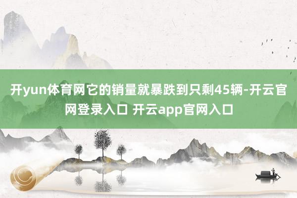 开yun体育网它的销量就暴跌到只剩45辆-开云官网登录入口 开云app官网入口