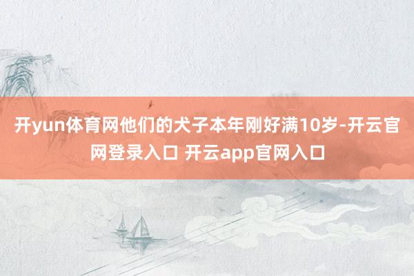 开yun体育网他们的犬子本年刚好满10岁-开云官网登录入口 开云app官网入口